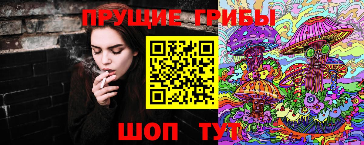 Псилоцибиновые грибы Cubensis Буйнакск