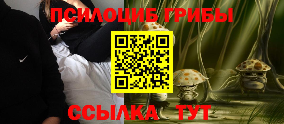 Галлюциногенные грибы MAGIC MUSHROOMS  Вход с VPN  Псилоцибиновые грибы мицелий  Буйнакск 